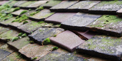 Cripps Corner roof repair costs